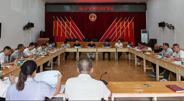 人民政府在社會經(jīng)濟咨詢服務(wù)中的角色與功能